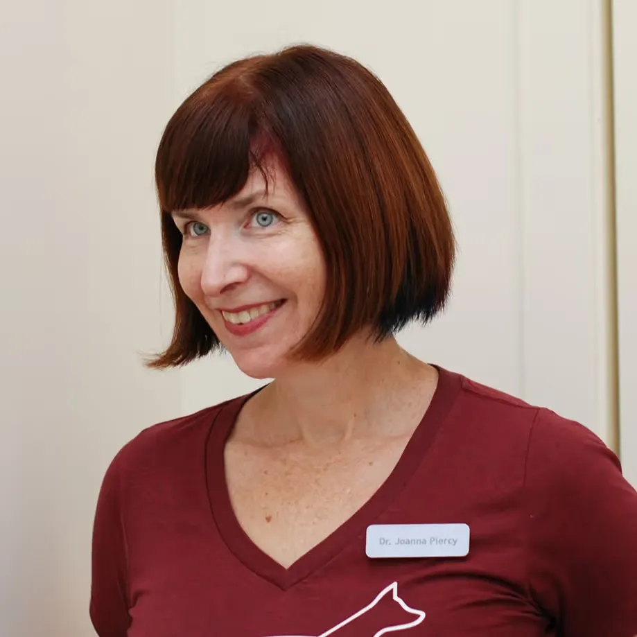 Case study Oaklands Veterinary Hospital and their AI assistant Sam