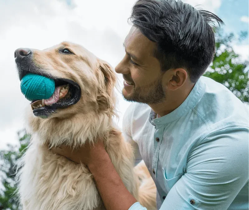 Nearly Half of Pet Owners Prefer Booking Vet Visits Outside Office Hours, Are You Ready?