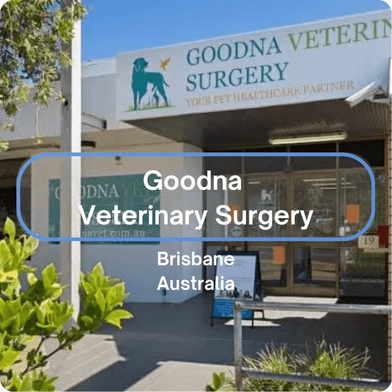 Real Results How ClinicWise Became a Game Changer for this Brisbane Veterinary Practice