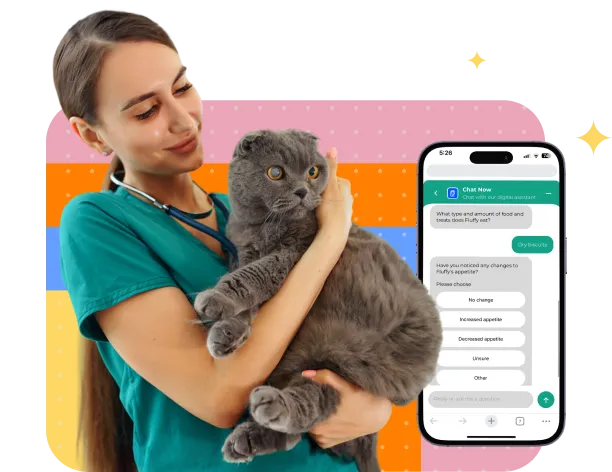 pims Your AI-powered clinic assistant