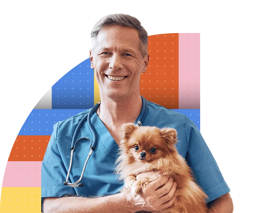 Everything You Need to Automate Your Vet Clinic Admin